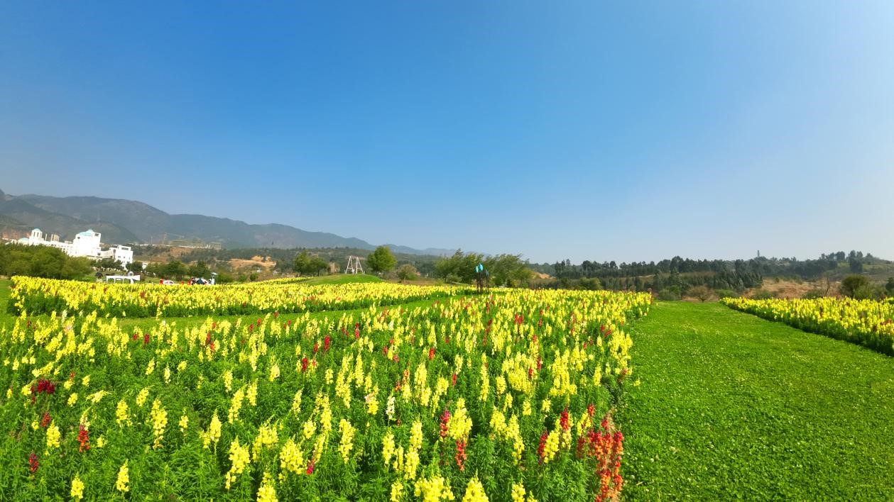 七彩云南热门的五一度假攻略合集,七彩云南完美的五一度假攻略大全