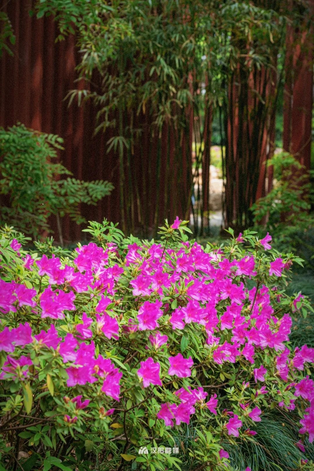 武汉旅游值得带的东西,武汉汉阳两日游最佳攻略