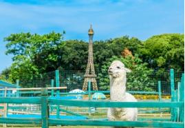 五一节去哪玩最好江苏,江苏五一出行如何避开人山人海