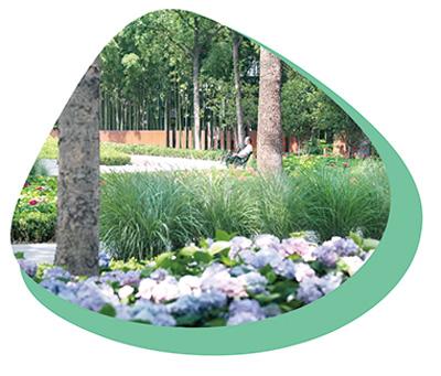 口袋公园建设要倾听民意,口袋公园建设管理水平仍需提升