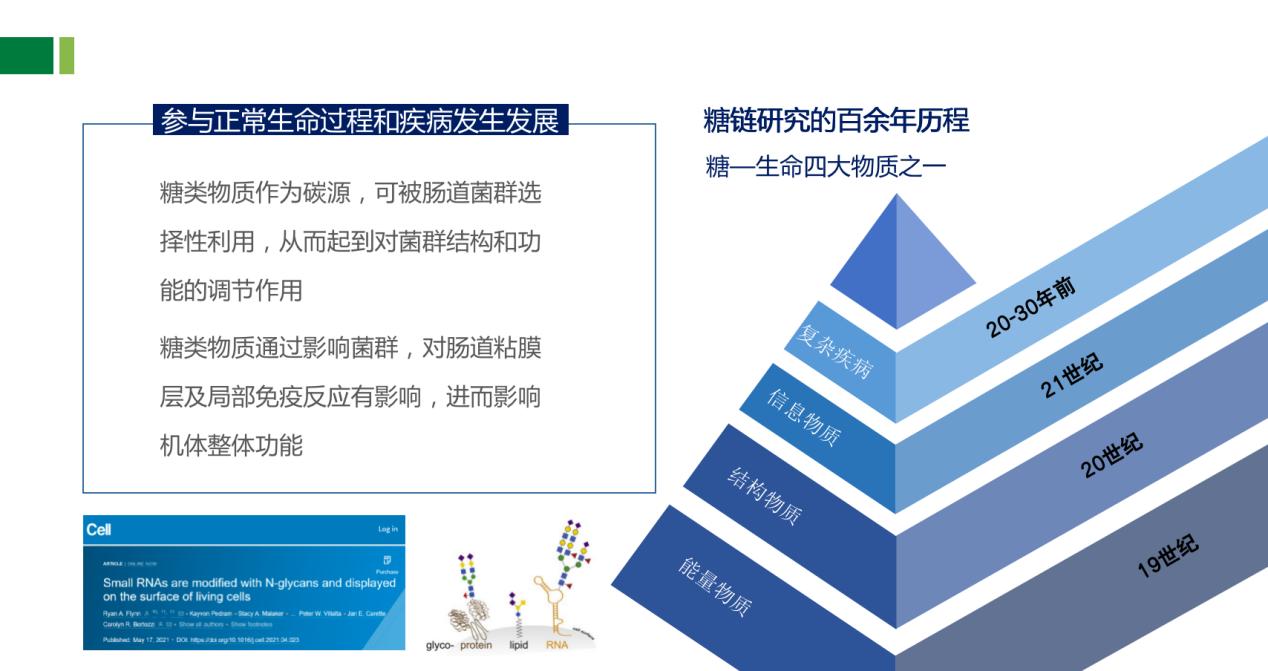 阿尔茨海默病研究获重大突破,临床研究证实,调节肠道菌群有望治疗神经退行性疾病