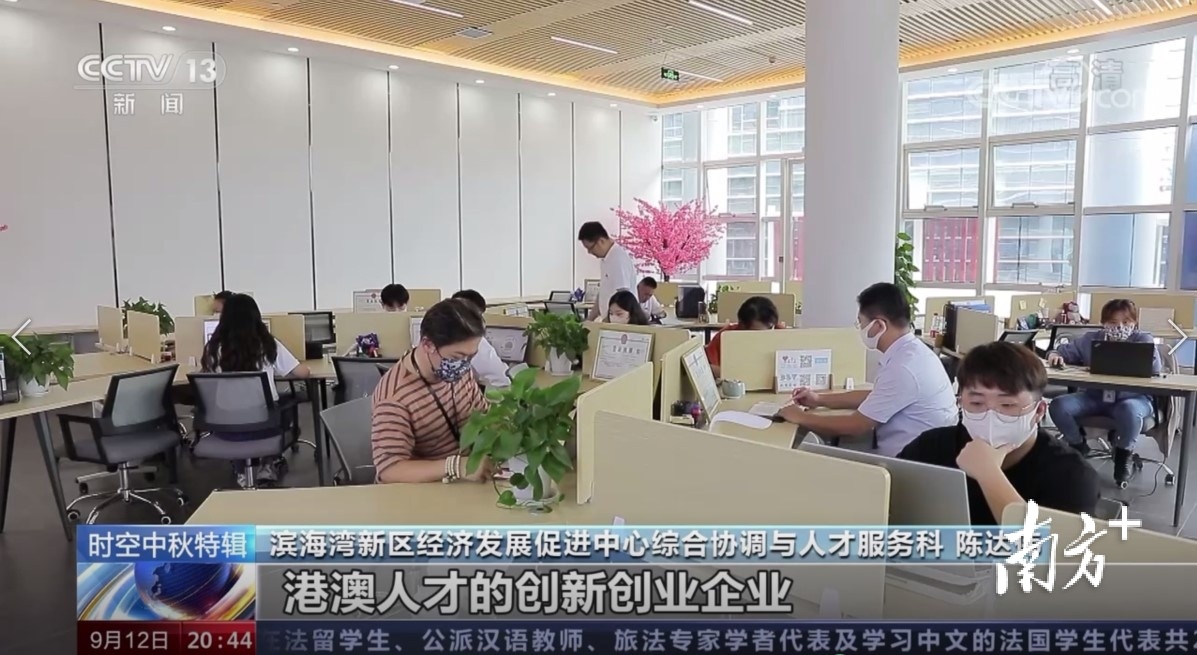 专家评论港澳青年大湾区创业,滨海湾粤港澳青年创新创业