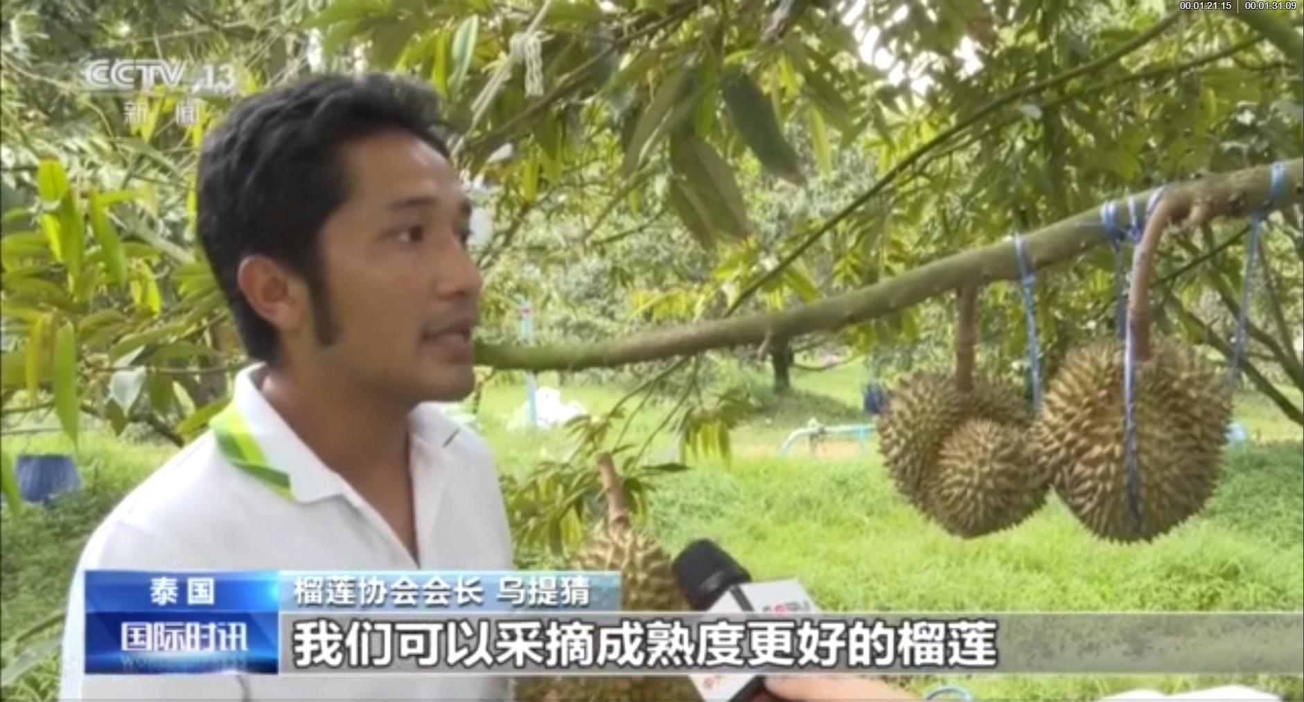 “水果”班列接连入境！你要的“榴莲自由”快来啦！