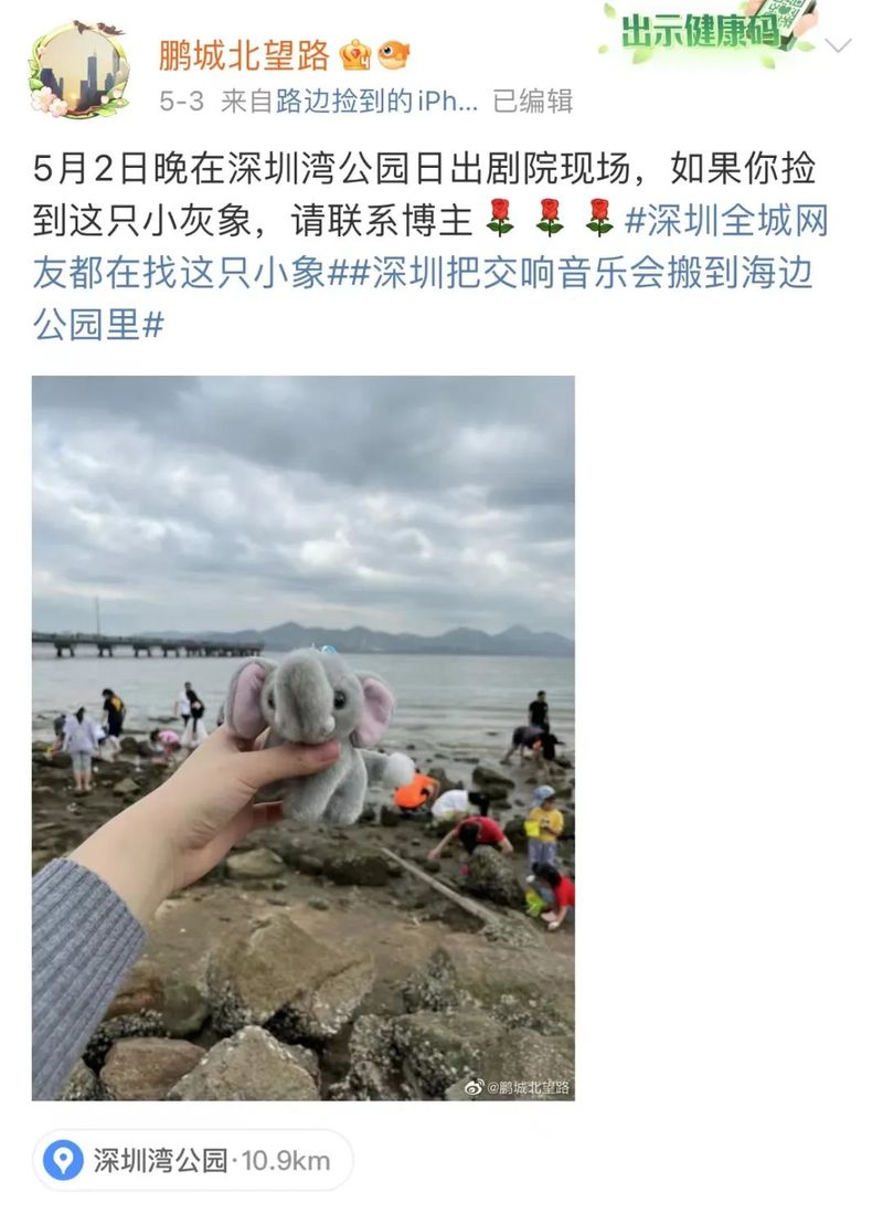 “深圳全城网友找小象”后续来了！深晚直接送！