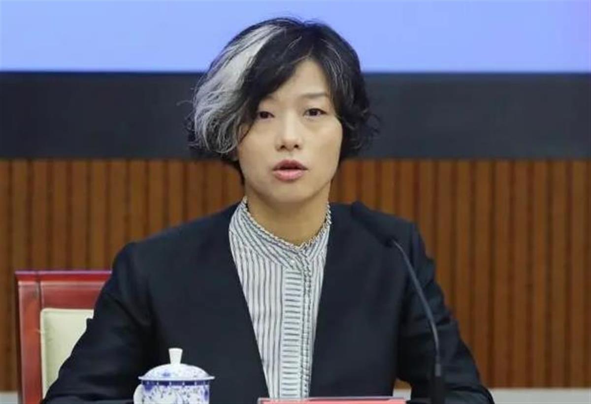 深圳女副区长一撮白发被指挑染,女副区长被指挑染白发后续采访