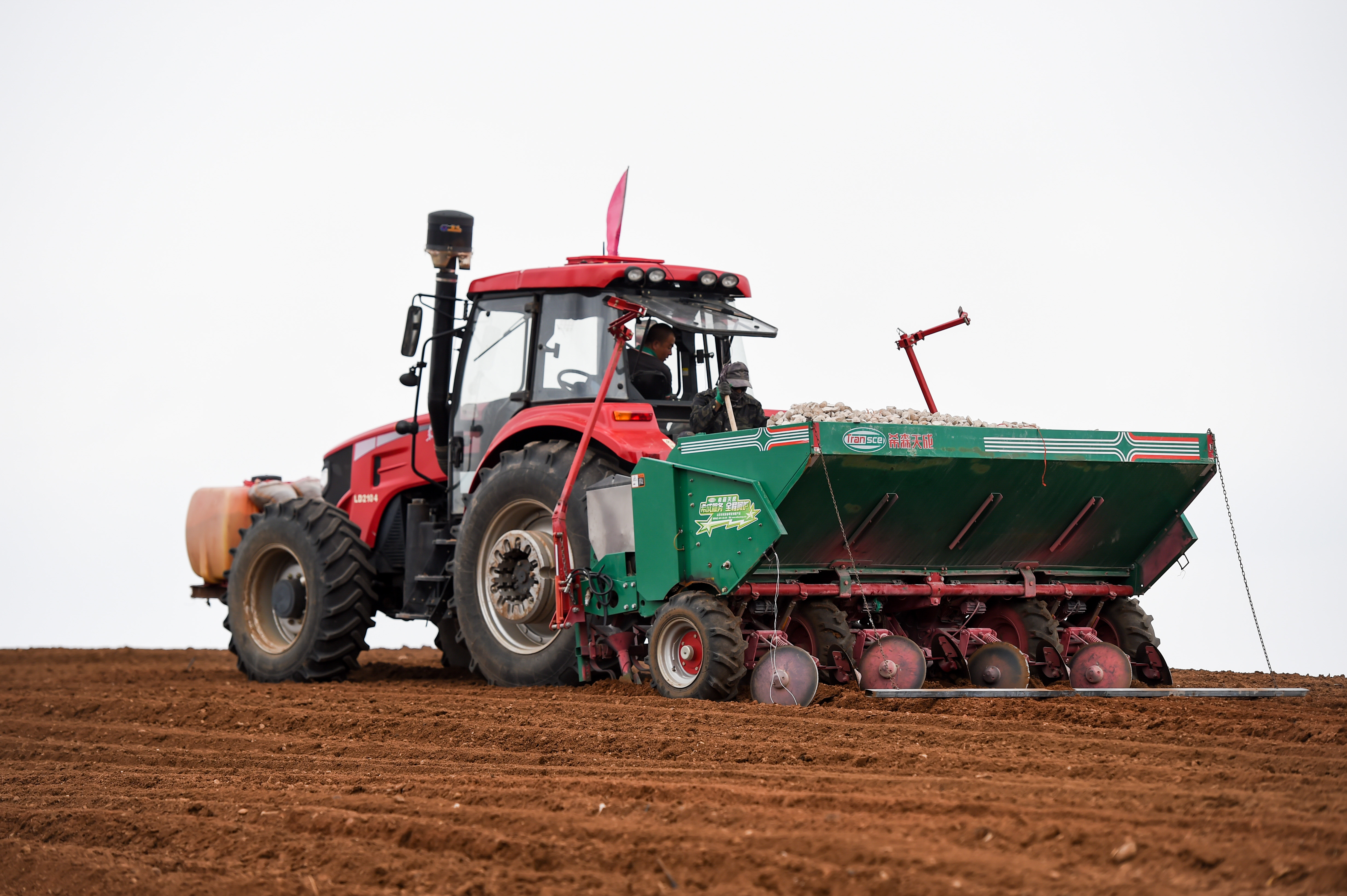 呼和浩特马铃薯播种,呼和浩特哪个区域马铃薯多