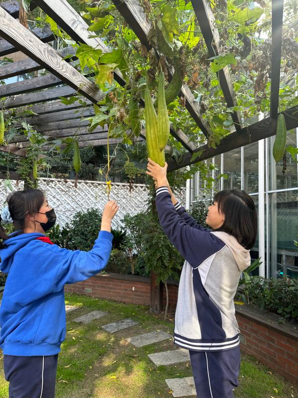 铁岭中学有个科技“园丁”，18年用一片城市“农田”为学生种下科学的种子