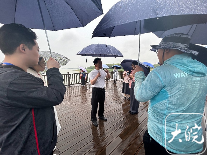 马鞍山融入长三角实施意见,马鞍山长三角一体化行动方案