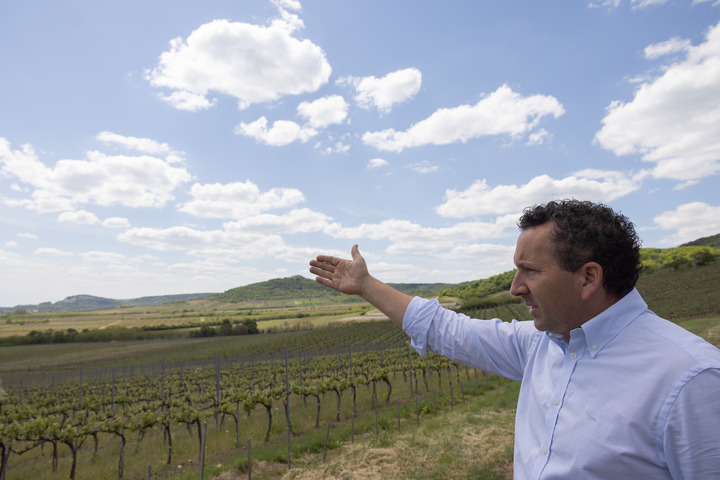 全球连线视频,全球连线