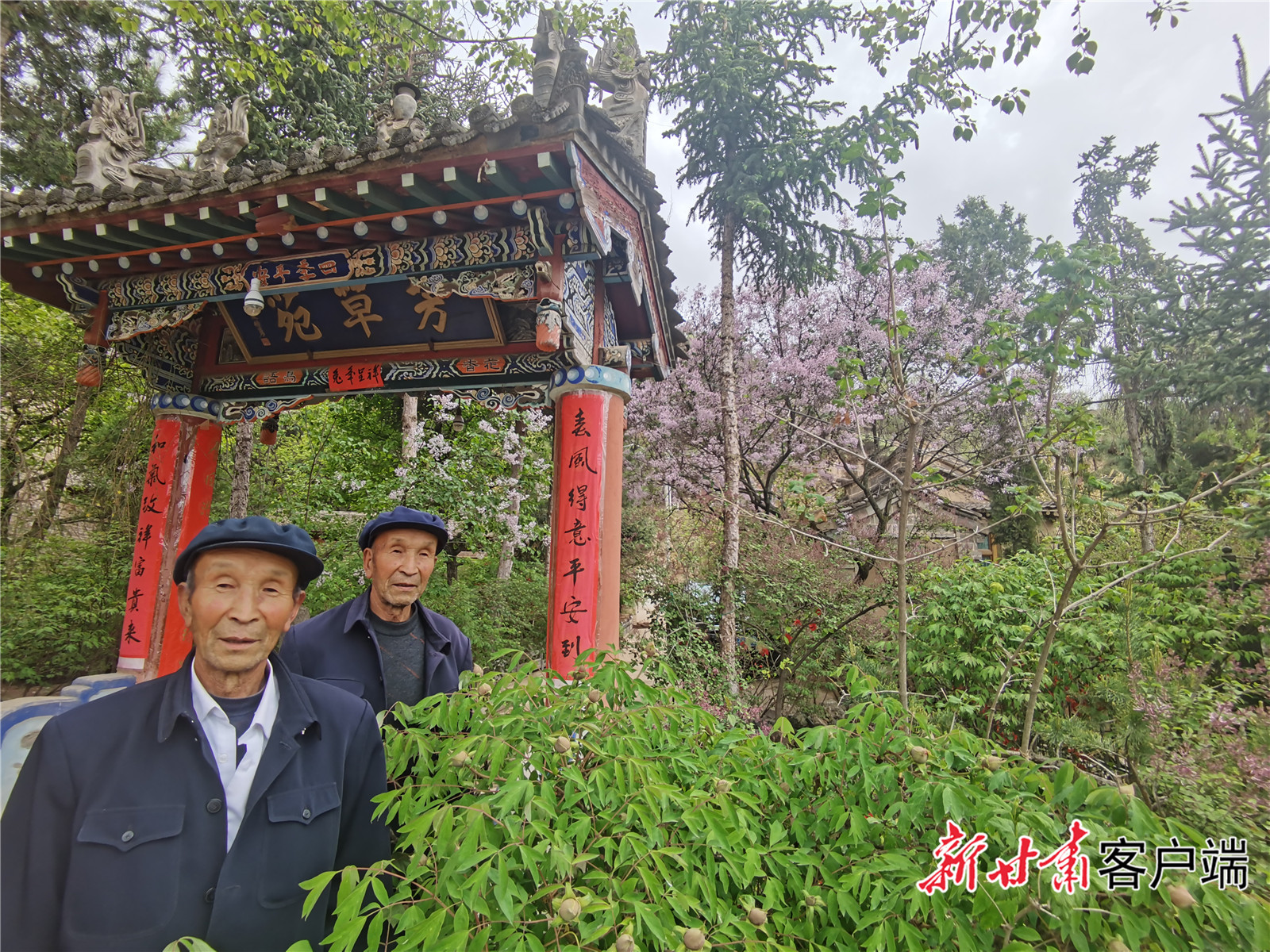 山上种树心底开花——老农“刚强兄弟”的丰厚人生