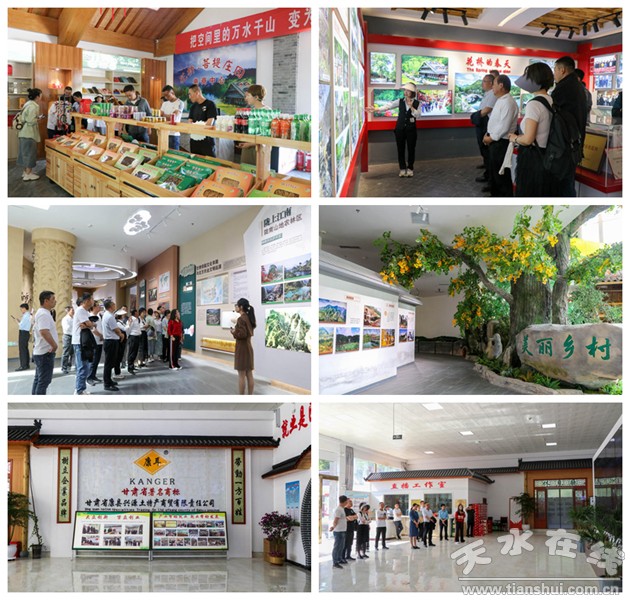 电子商务进农村示范项目预算,电子商务进农村示范项目资金使用