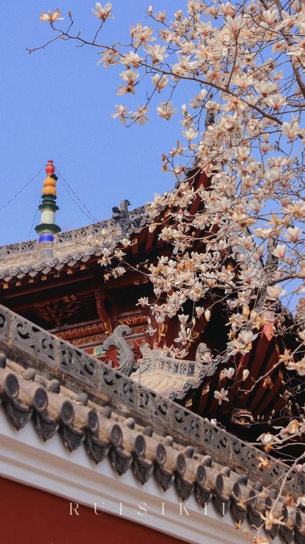 武汉必去打卡地,武汉热门打卡地