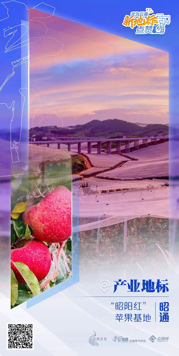 云南社会责任,云南日报社会责任报告