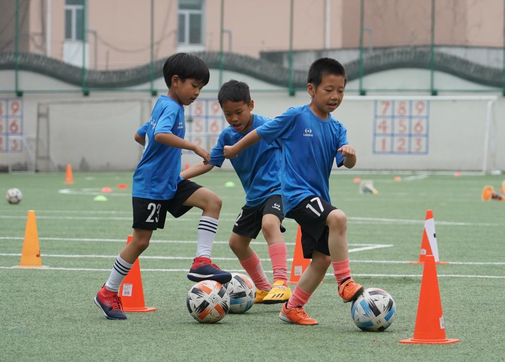 追光体育足球,追光训练