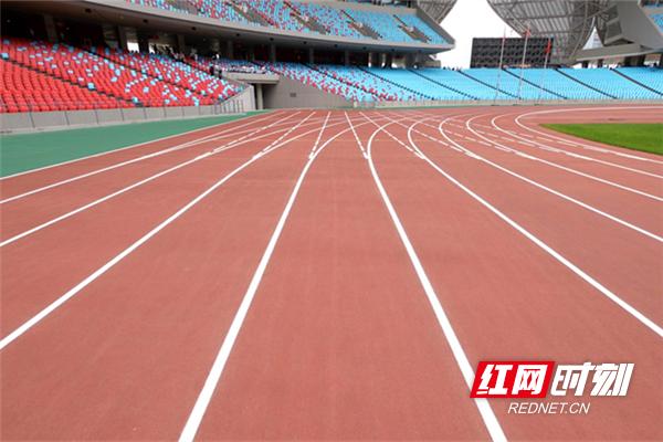 喜迎亚运打卡亚运印记,打卡杭州亚运莲花