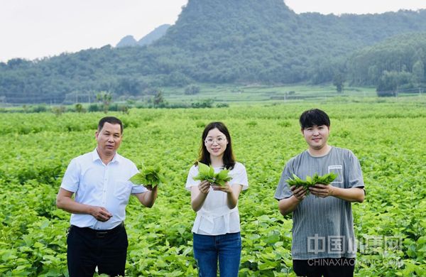 退役留守乡村青年助力乡村振兴,扎根三农做乡村振兴践行者