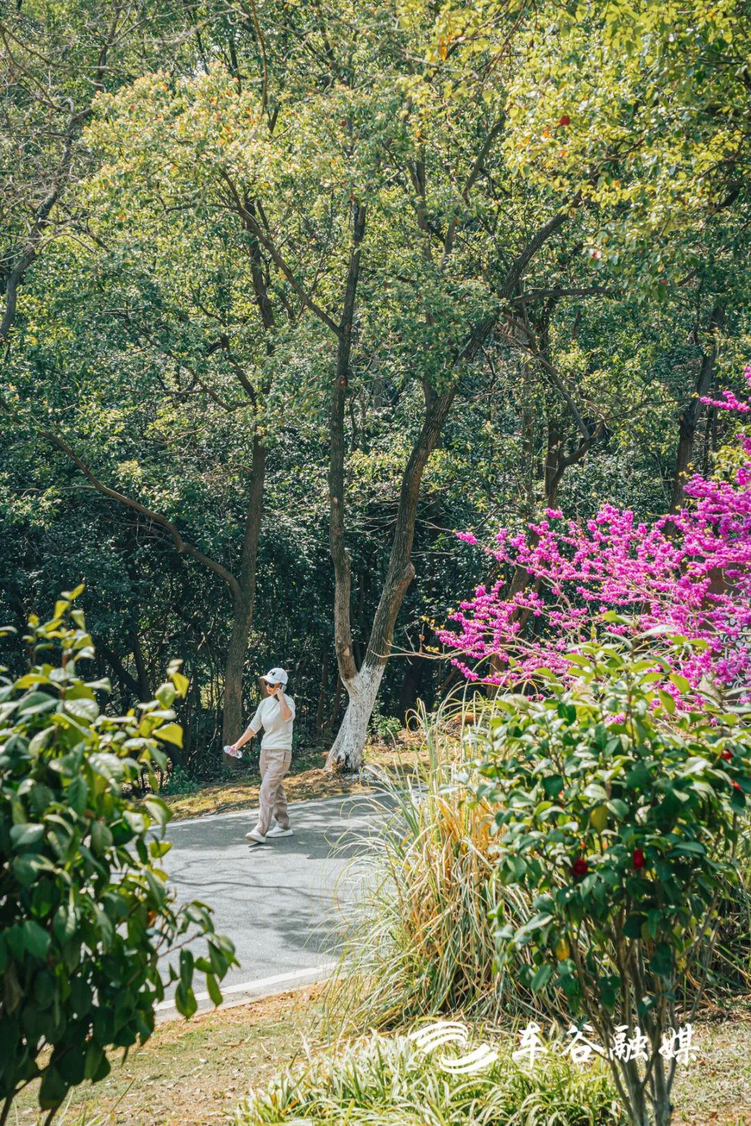 武汉经开区车谷中心城,武汉经开区车谷科技产业园