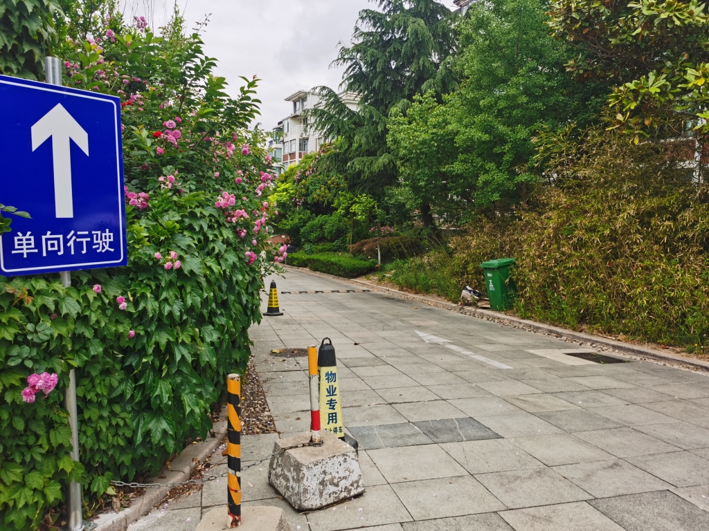 问诊岛城物业纠纷丨一年可结余四五十万，十余年公共收益去了哪？小区“钱袋子”啥时晒出“明白账”