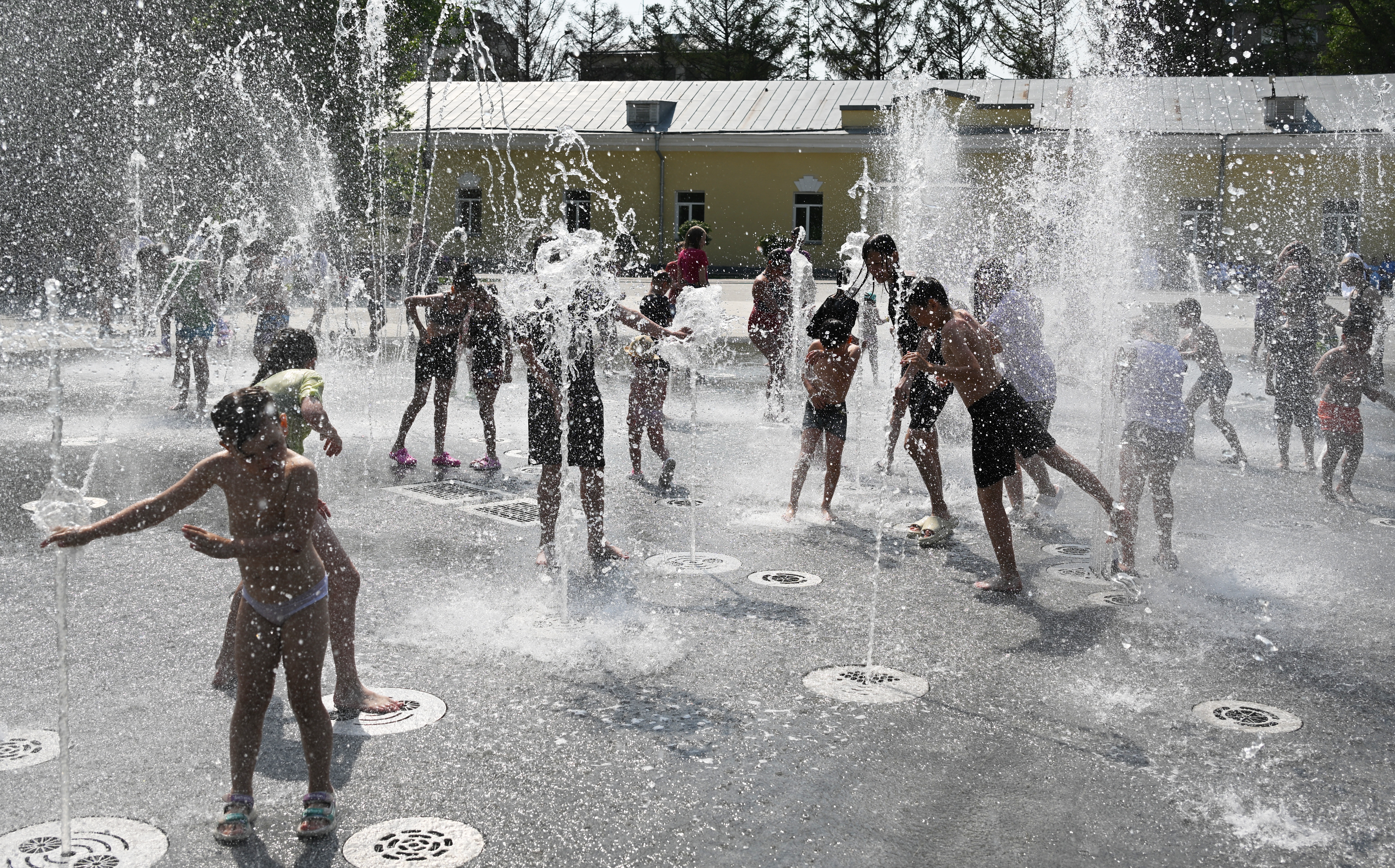 （外代二线）新西伯利亚的夏天