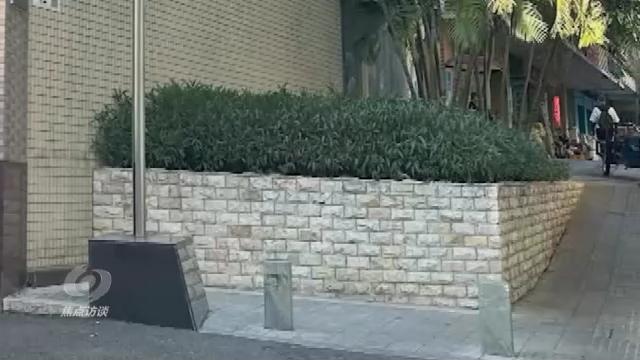 焦点访谈丨如何一次性解决老百姓的“麻烦事”?深圳“一键下单”了解一下→