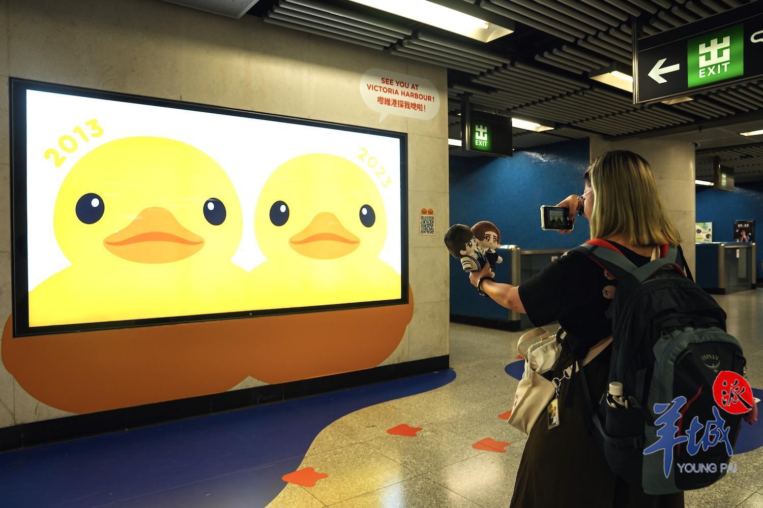 “大黄鸭”阔别10年重游香港,大黄鸭经典升级版