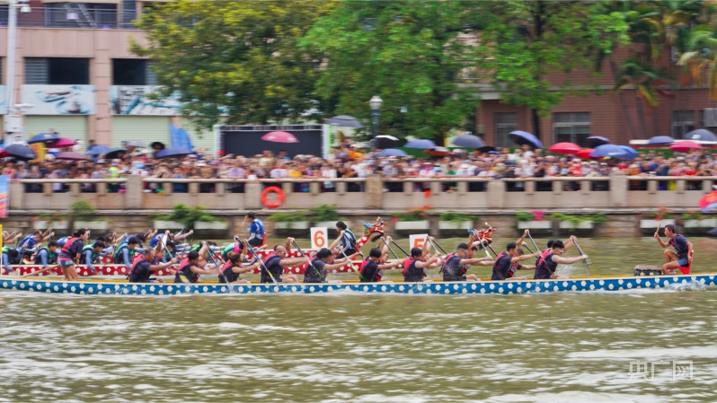 粤港澳大湾区龙舟邀请赛全过程,2023粤港澳大湾区龙舟邀请赛攻略