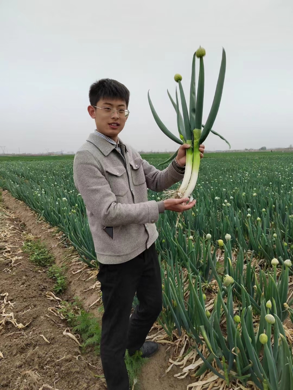 新闻周刊丨大学归来，扎根田间，争当头雁！返乡高管土专家，镀金升级新农人