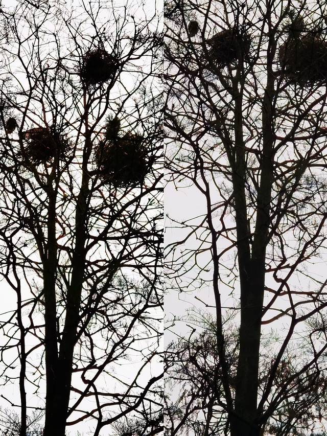 苏中自驾游‖这座城存下了我的一份醉心