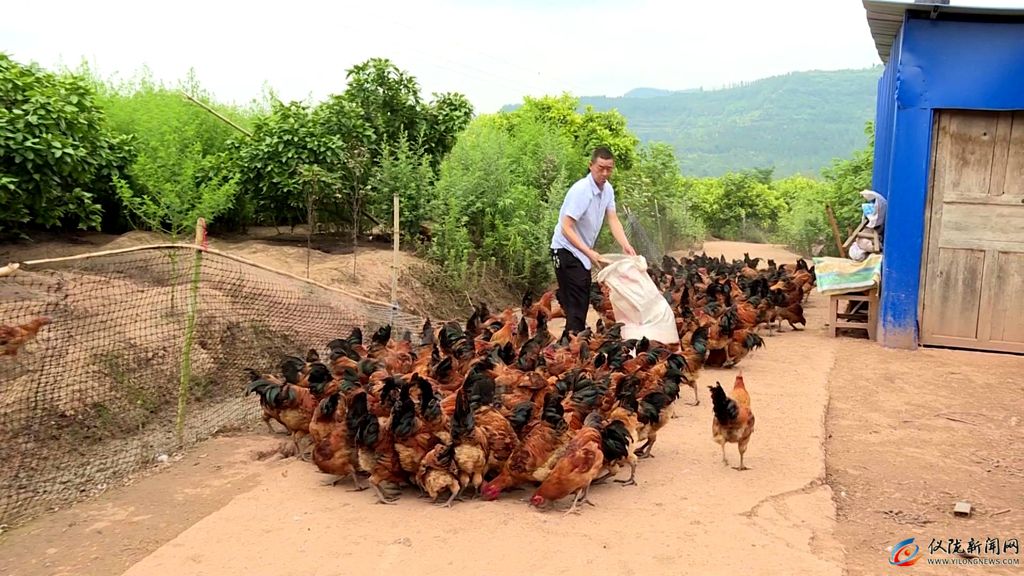 村村有特色产业户户有增收渠道,村有产业户户可增收吗