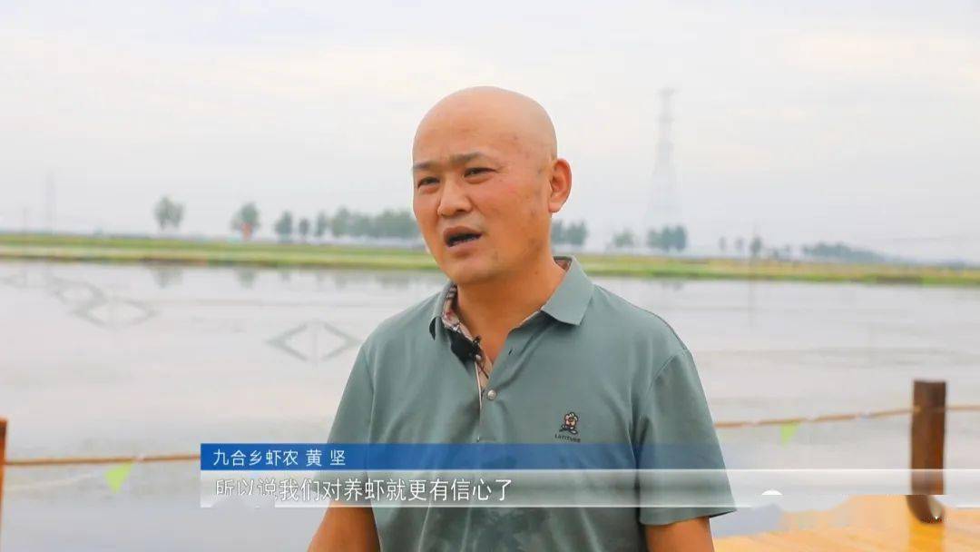 稻虾养殖产业发展情况,淡水养虾新模式亩赚7000元