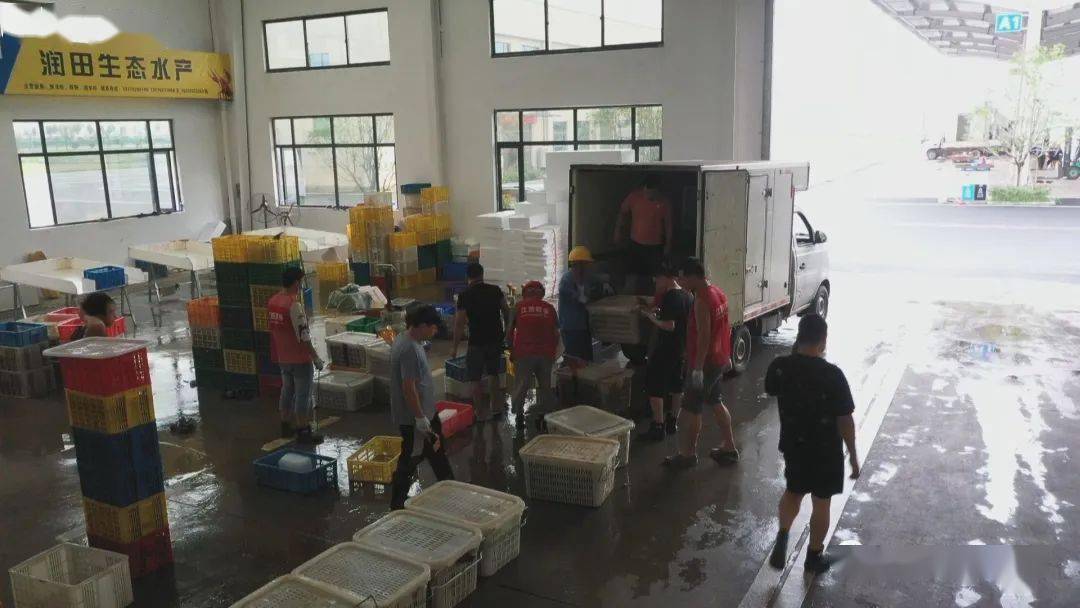 稻虾养殖致富记,稻虾养殖的经济效益