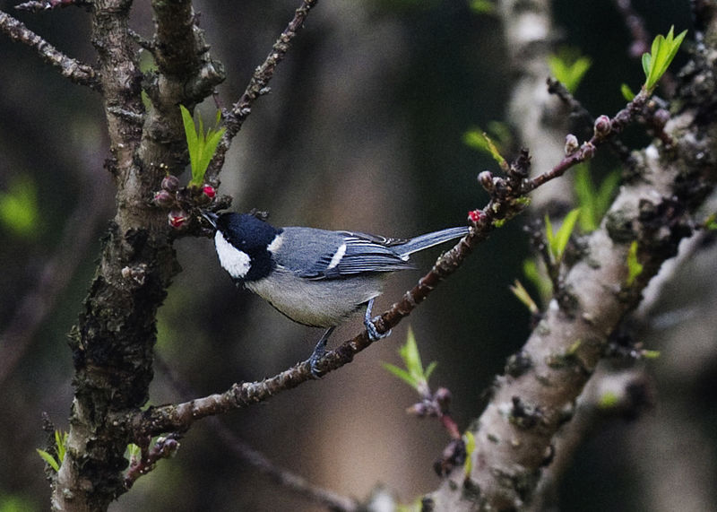 2023年6月18日父亲节图片,6月20日父亲节日历图片