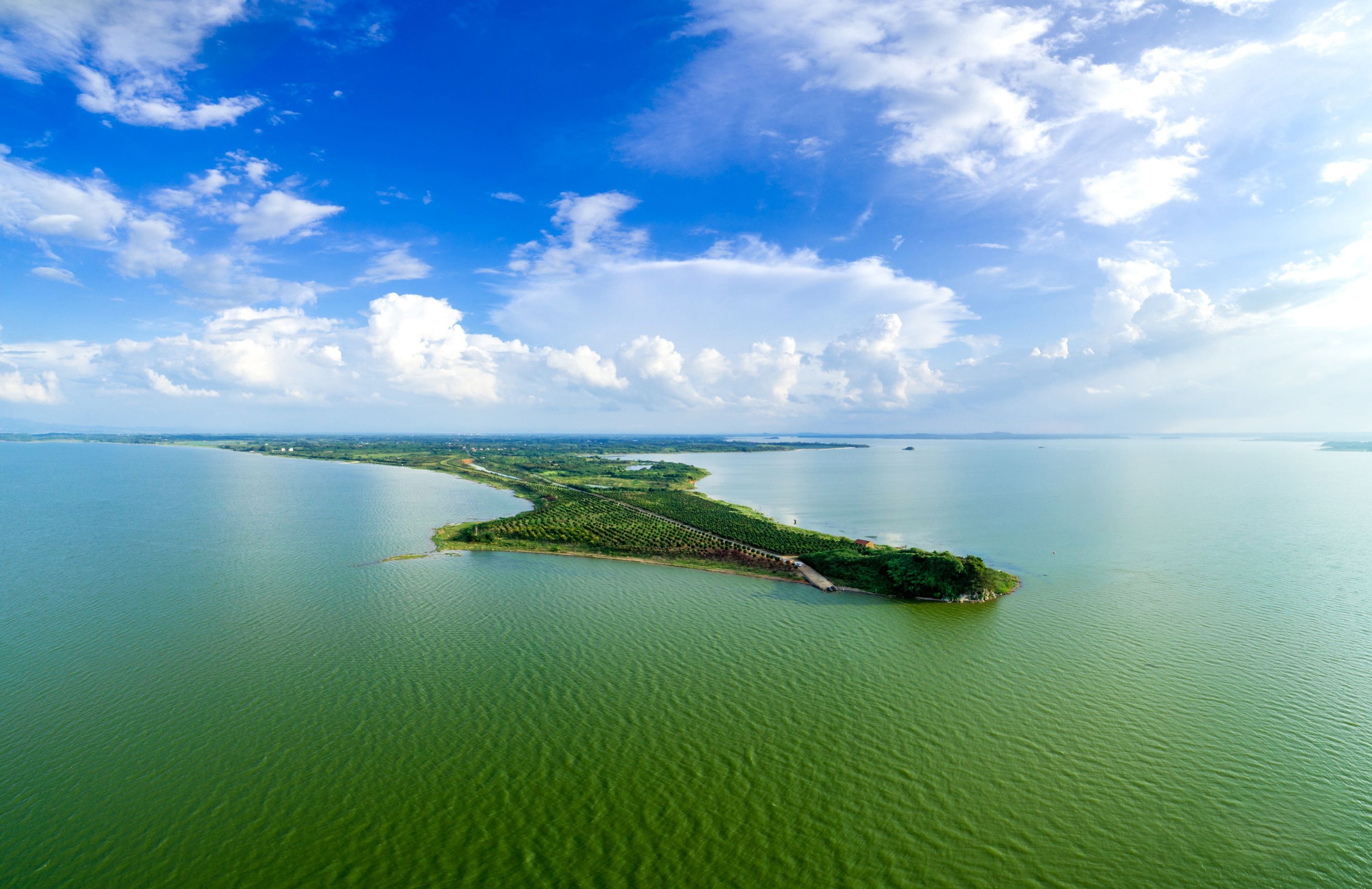 “楚天首县”成中部地区投资创业新高地