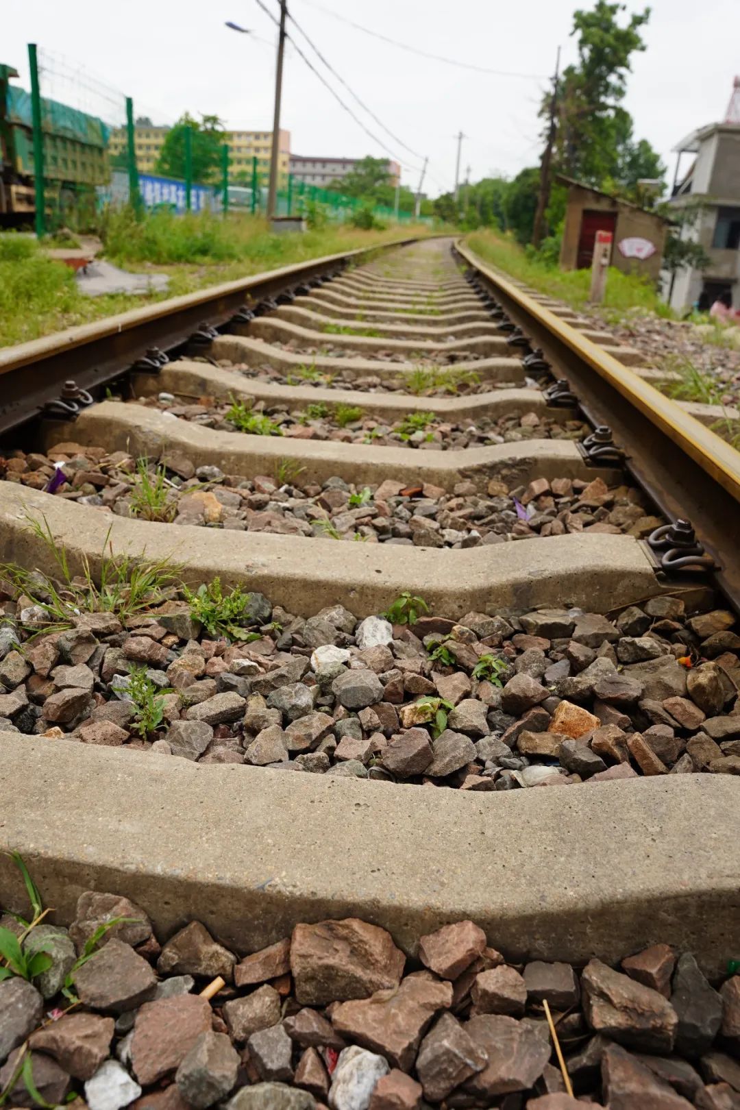 寻找鄂城最美村落｜泽林：云梦泽畔多芳草