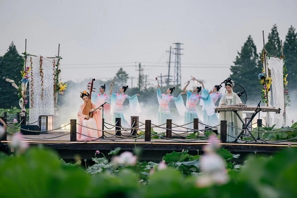 南京高淳荷花开了,高淳荷花展