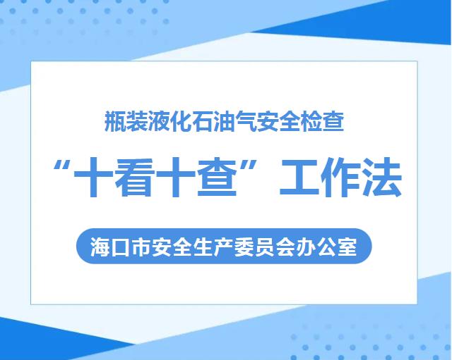 瓶装液化石油气安全专项整治总结,液化石油气安全检查记录范本