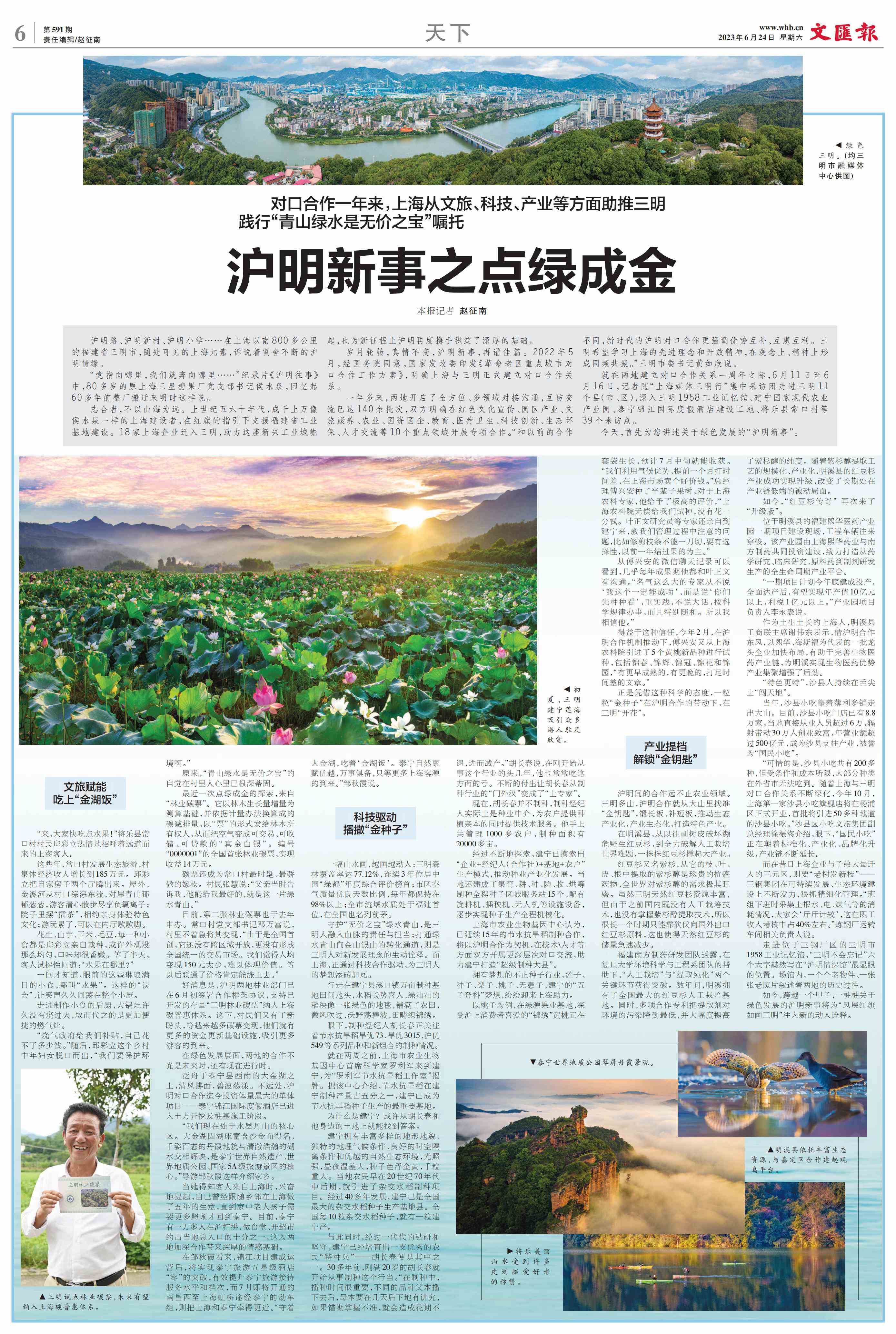 沪明新事之点绿成金