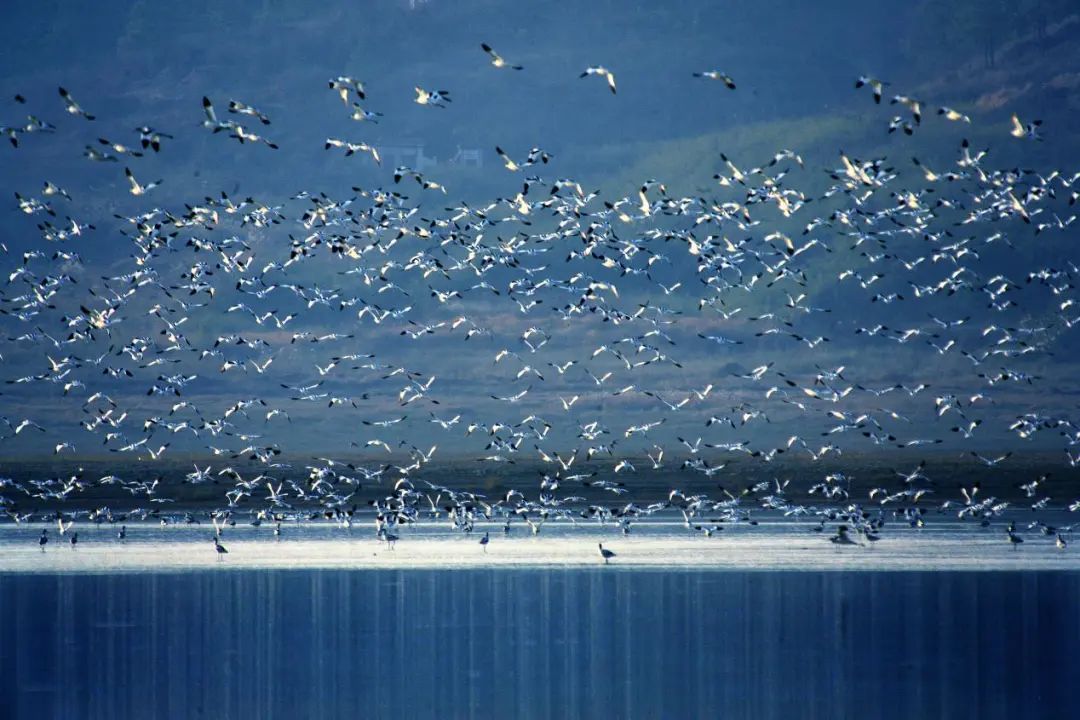 带好准考证江西这些景区免费玩,江西高考准考证可以免费玩的景点