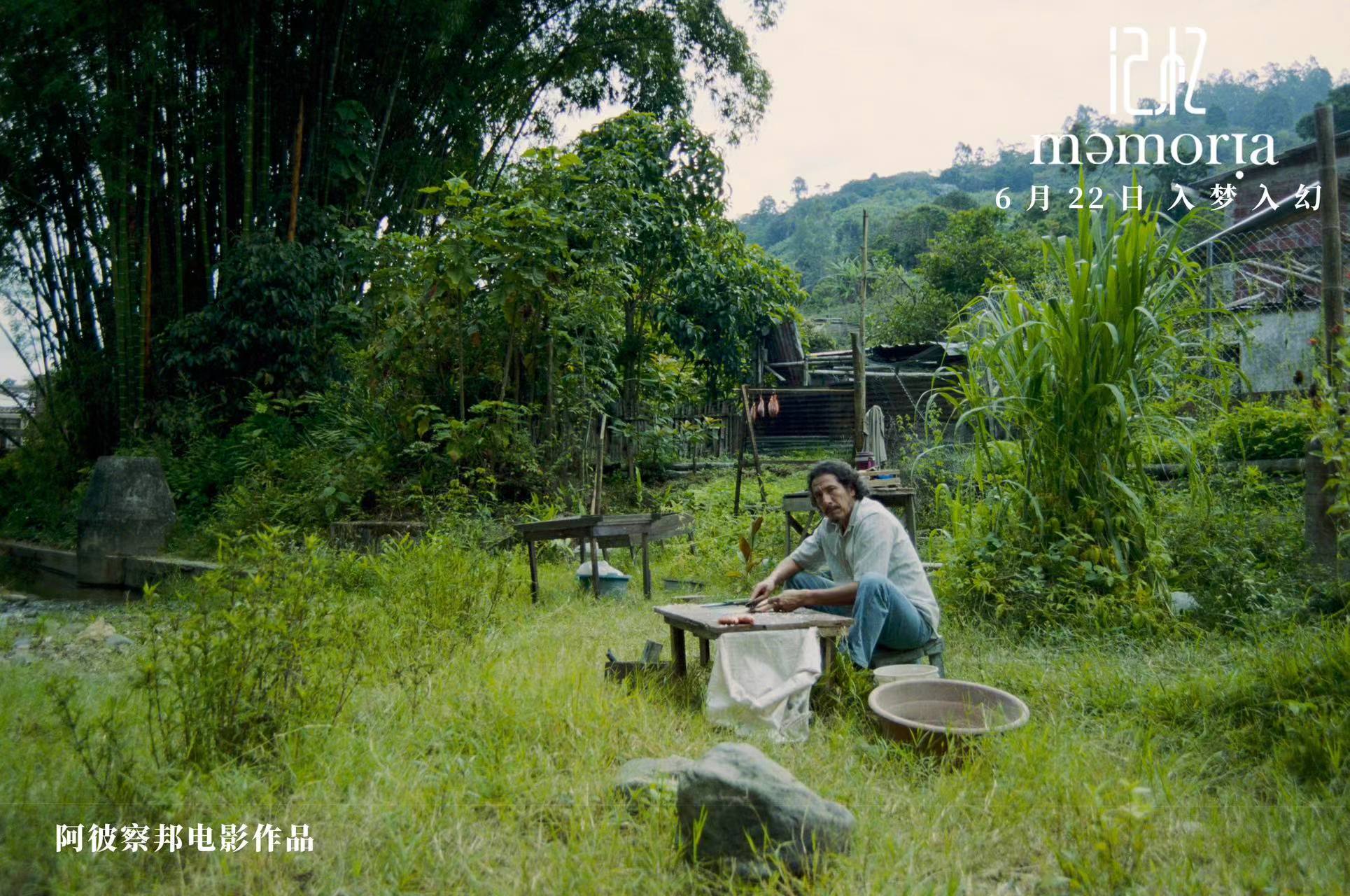 2019鐢靛奖璁板繂,娣卞害瑙ｆ瀽鐢靛奖璁板繂
