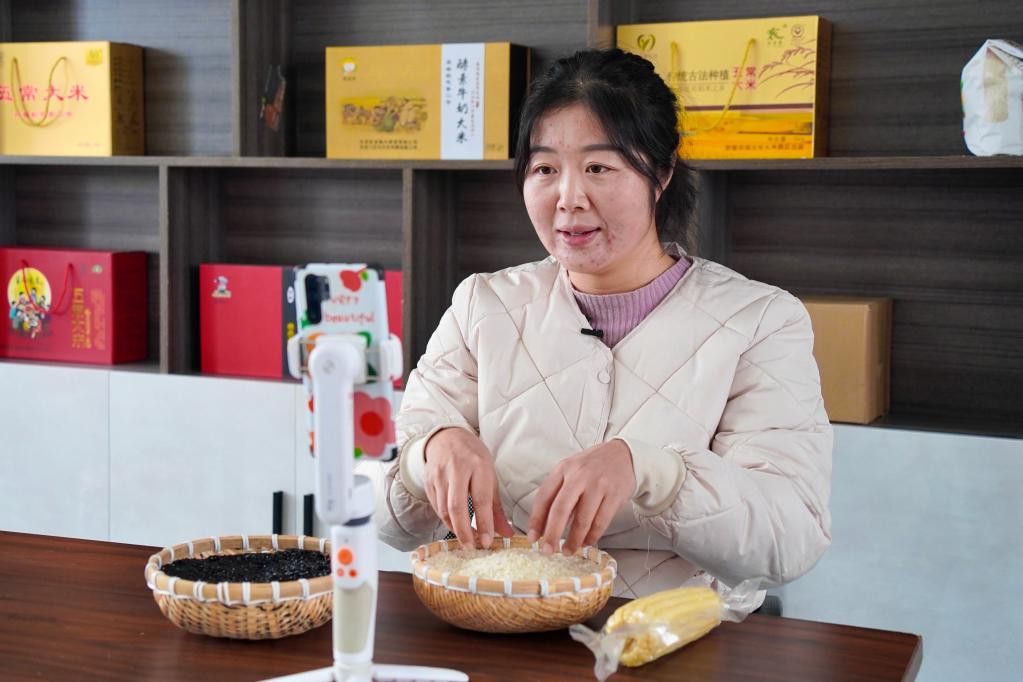 专家谈振兴东北之加强产业转型,东北振兴产业如何破局