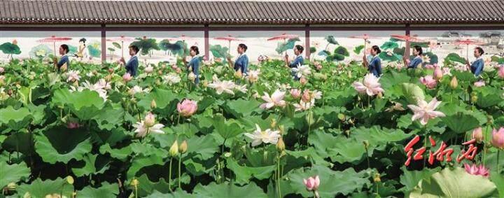 文旅周刊｜空气唱戏文旅收钱——泸溪县“旅游+”再添硬核支撑