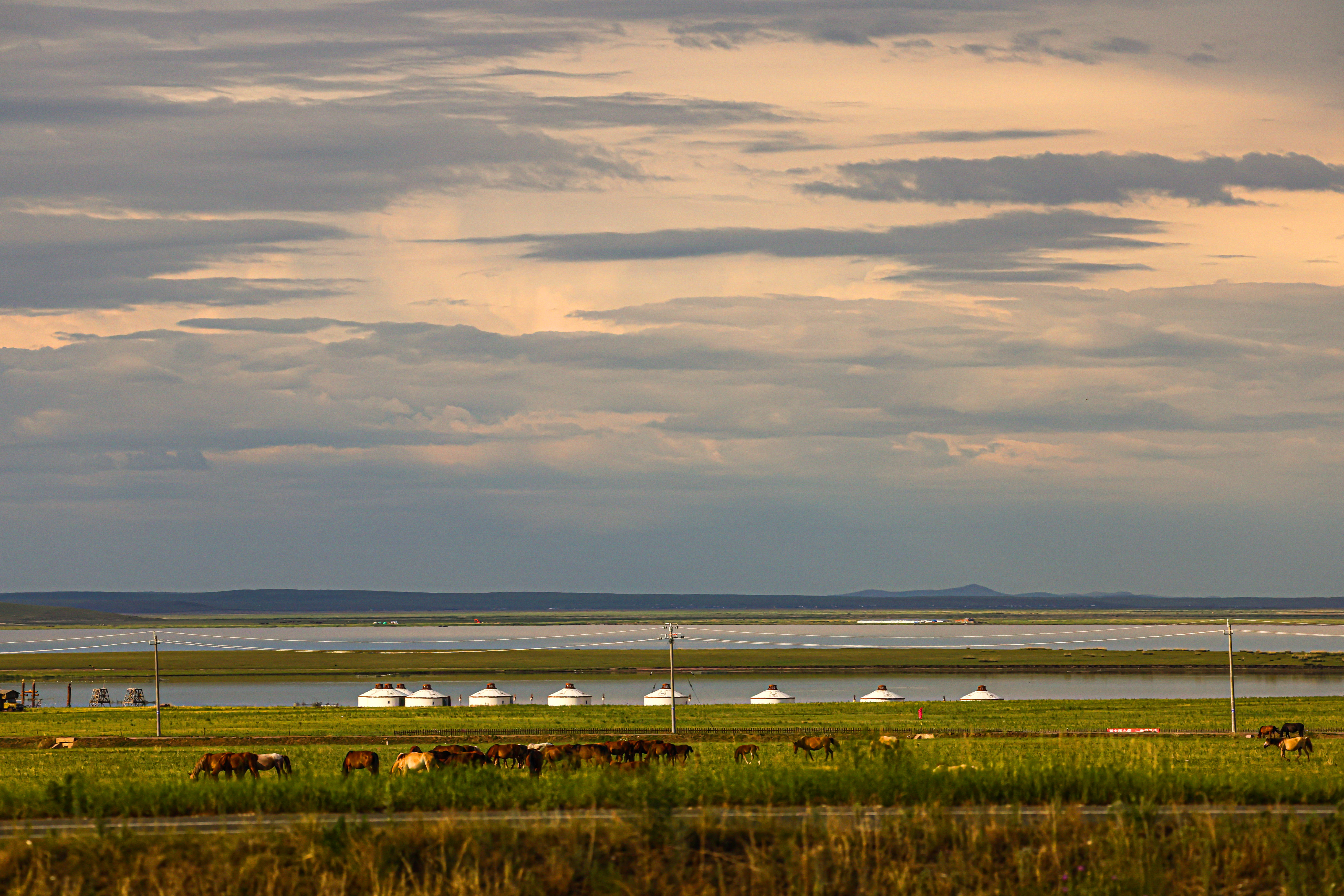 美丽中国呼伦贝尔,美丽富饶辽阔呼伦贝尔大草原
