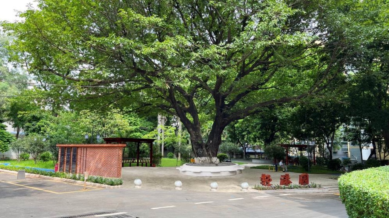 广州老旧小区改造试点,广州老旧小区改造工作指导意见