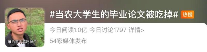 “番石榴、芒果、荔枝……吃不完，根本吃不完”，云南农大招生短视频又火了