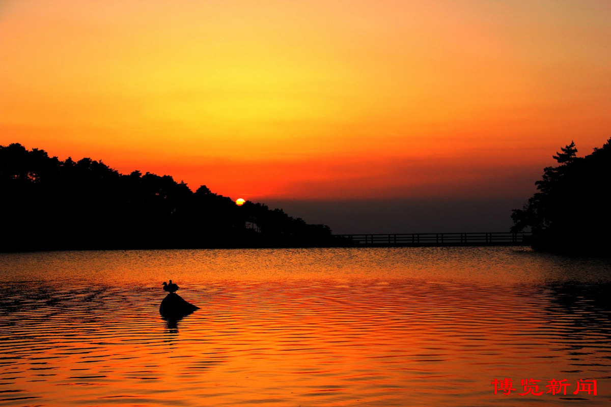 节气里的淄博︱小暑:荷花香万物长时有微凉不是风
