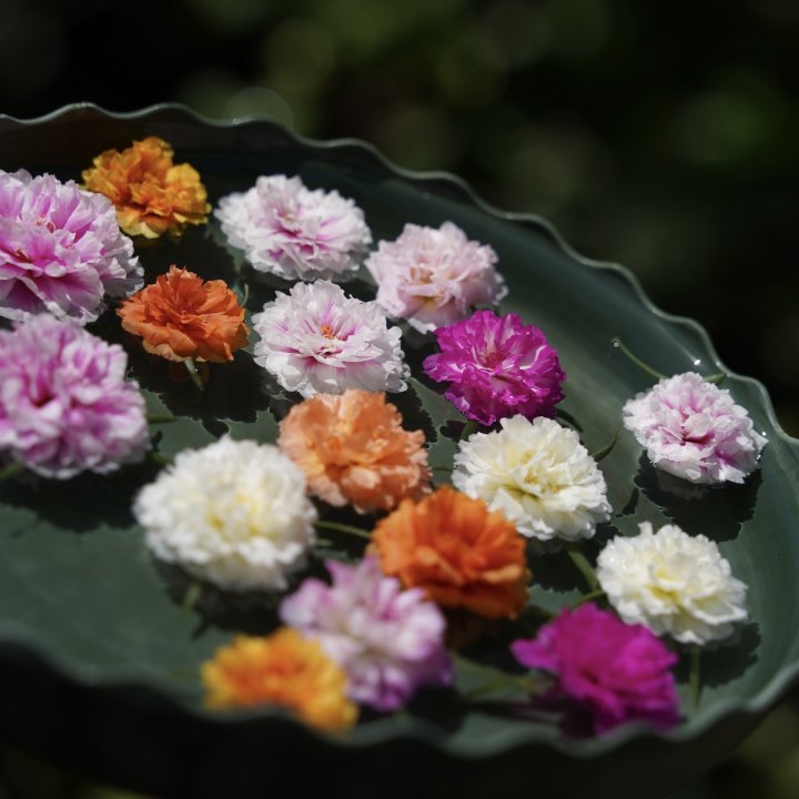 跟着它打卡杭城秘境，探寻人文历史，晒新书送西湖游船票｜橙柿福利