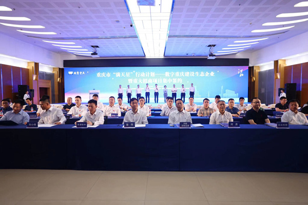 重庆市数字经济产业园,重庆市数字经济产业发展项目名单