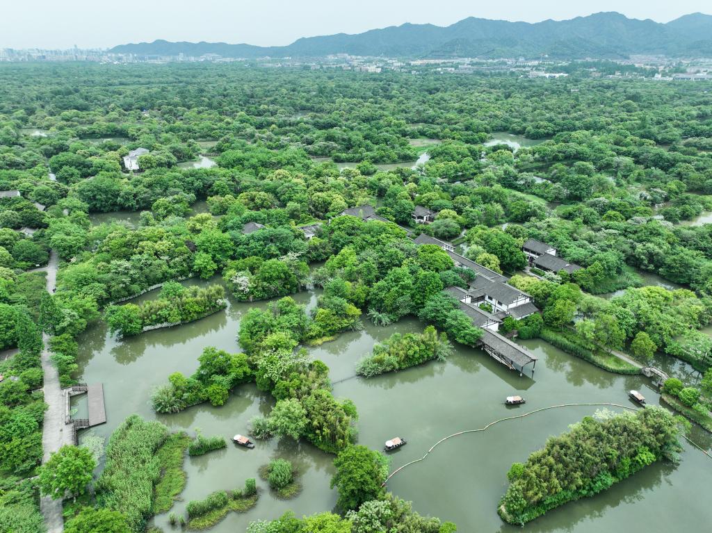 八个场景见证浙江八八战略20周年,八八战略发展纪实