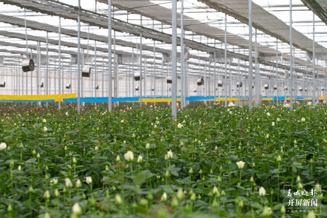 有一种生活叫云南的特色,有一种云南的生活叫昆明