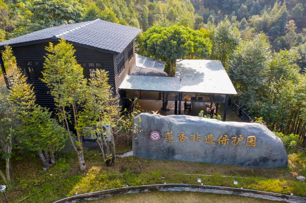 不止“村BA”！东莞10条好看好逛的线路，本地人也爱去